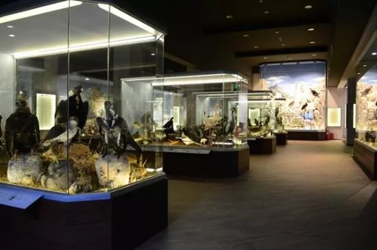 Natural History Museum of Meteora & Mushroom Museum
