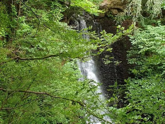 Falling Foss Tea Garden And Waterfall