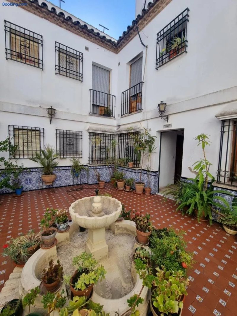Patio Cordobes San Basilio