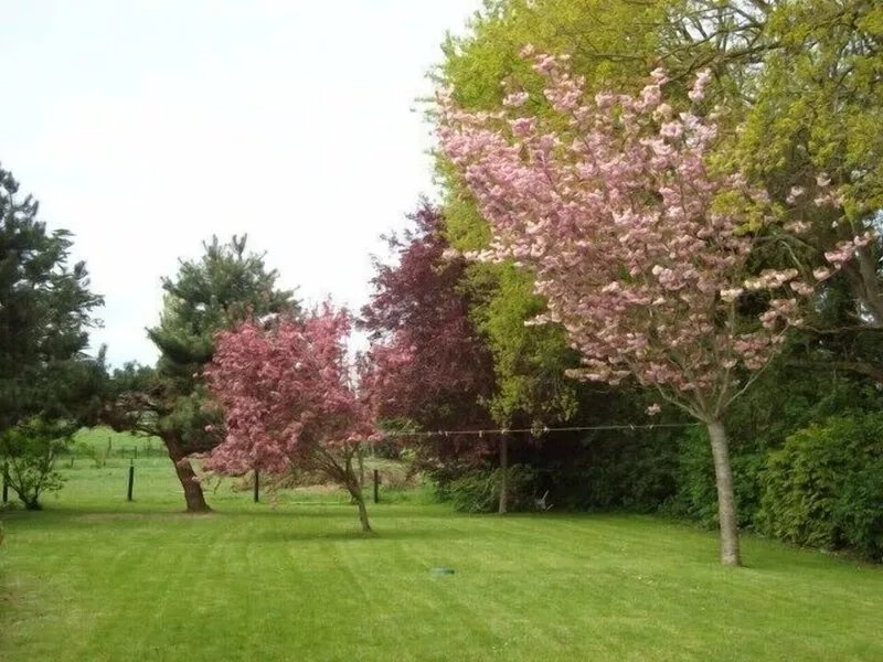 Ideal family home 800 m from the coast - heated swimming pool - 600m2 garden