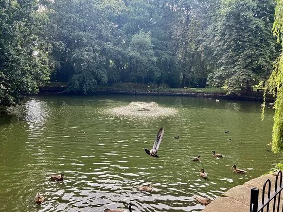 Foxdenton Park