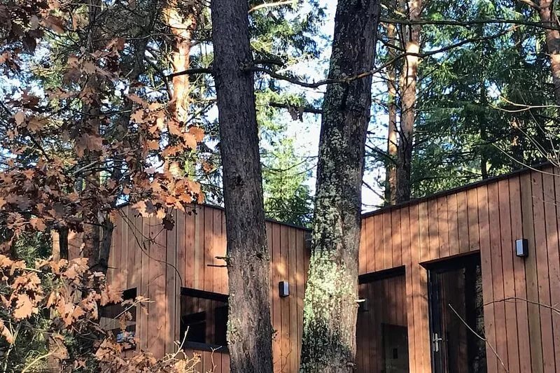 Nature, Well-being, Luxury and Chic in the trees near COLMAR