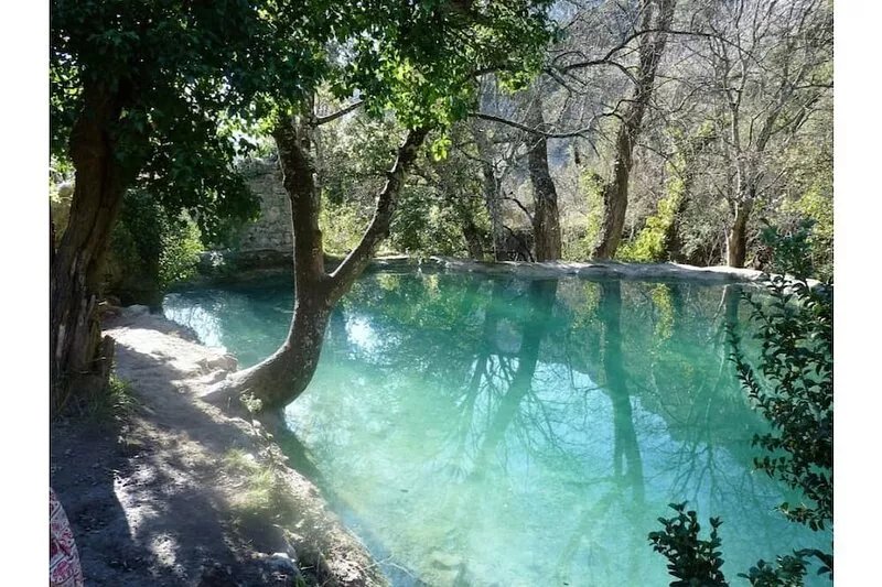 Labeaume L'orée du bois, surrounded by nature, exceptional location, private