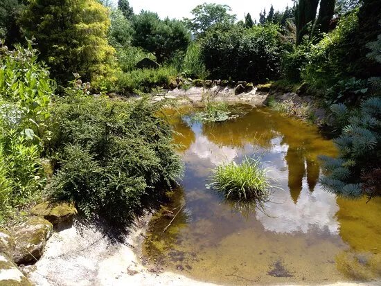Borotin Arboretum