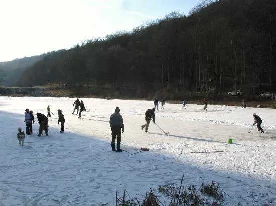 Barenfichtenweiher