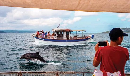 Amvrakikos Cruises