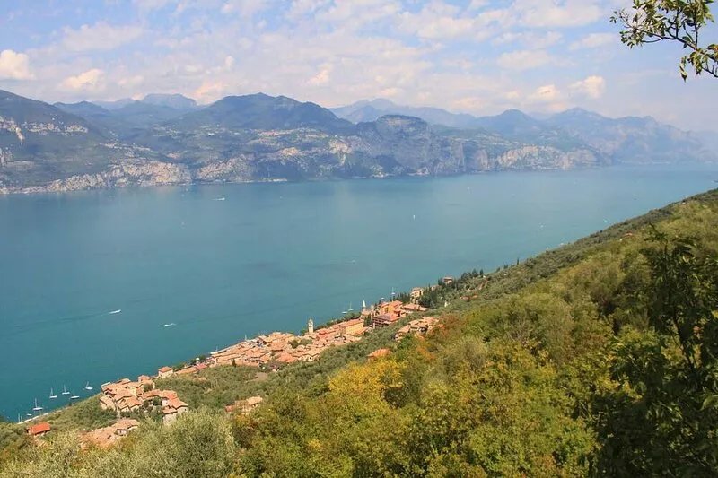 Luxury villa on quiet hillside with stunning views and romantic Olive Grove