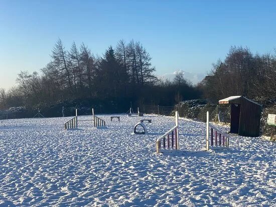 Skipadoos - The Secure Dog Field - Bolton