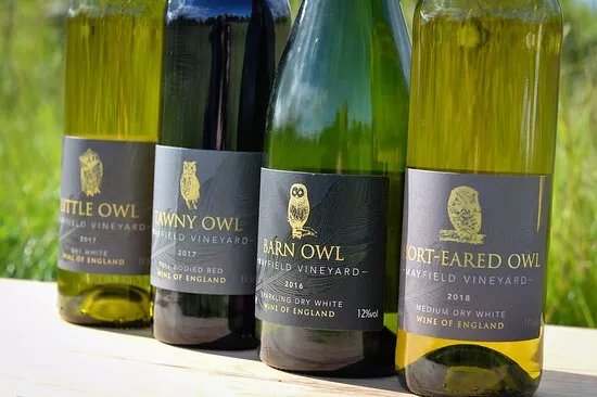 Mayfield Vineyard, Lincolnshire