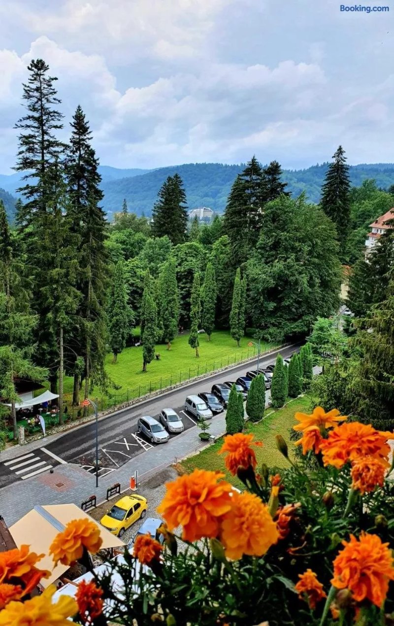 Laura Apartments Sinaia