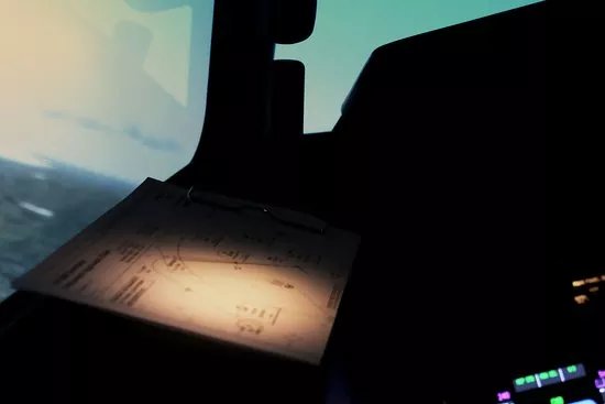 Fly Sim Flight