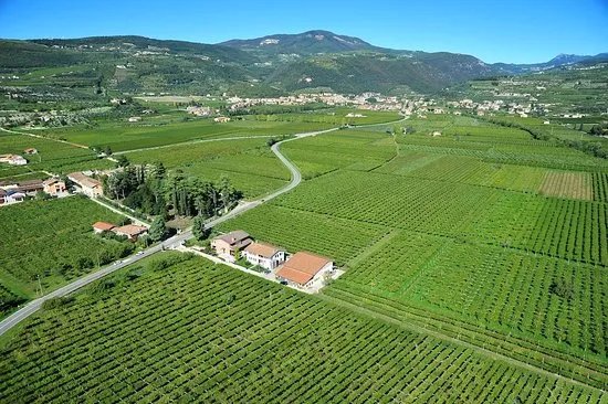 Azienda Agricola Cantina Spada