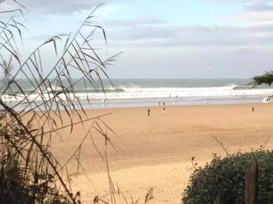 Barefoot Surf School