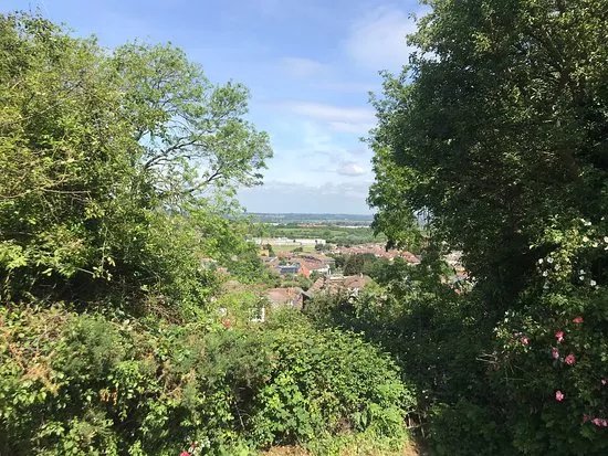 Rayleigh Mount