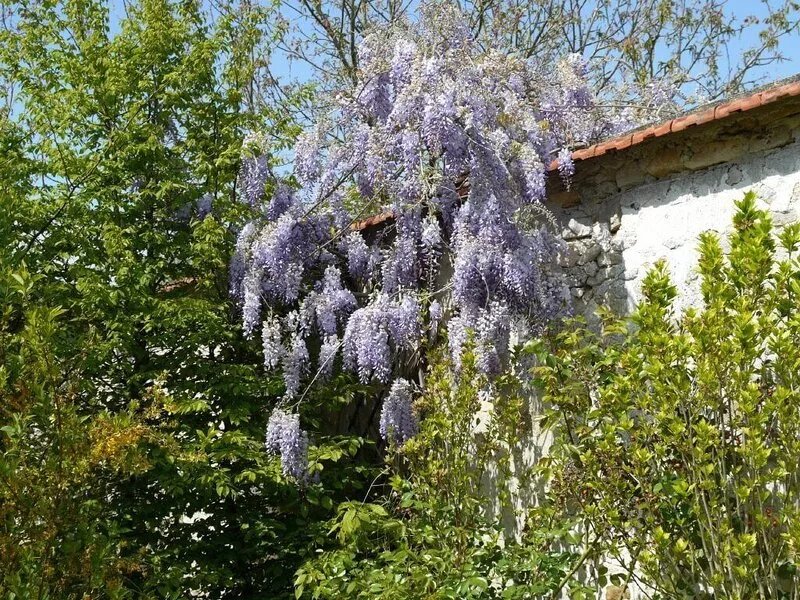 Lodging restored in a contemporain way, in a vast typical farm of Vexin