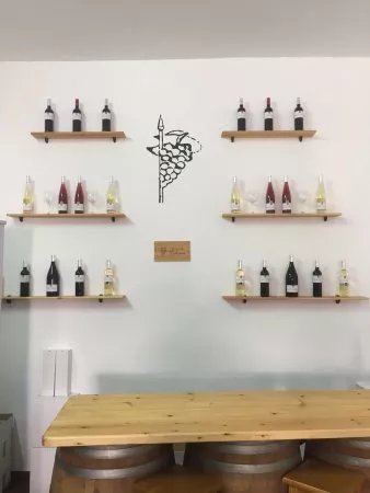Bodega Campos de Dulcinea