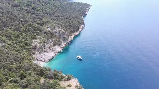 Diving Cres