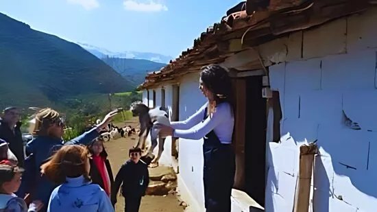 Sofie's Goat Farm