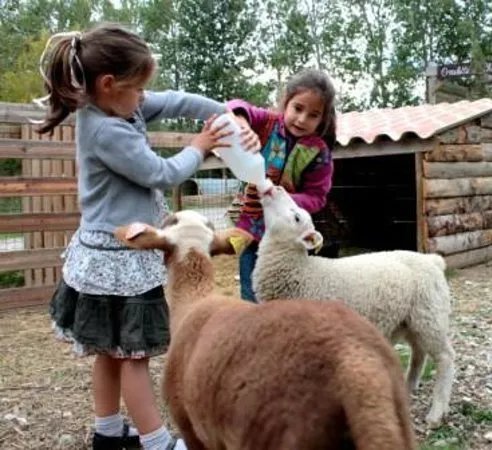 Ferme de Decouverte Saint-Andre