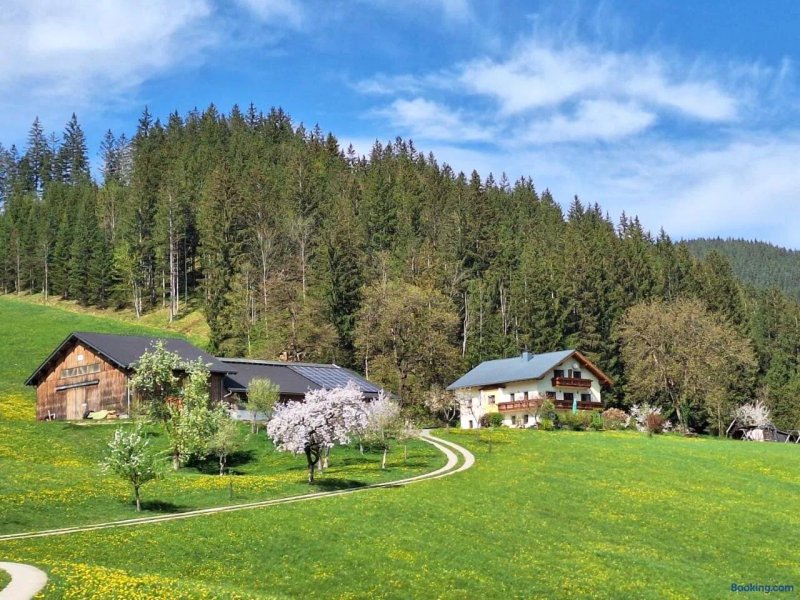 Biobauernhof Poidlbauer