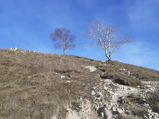 Monte Chiusarella