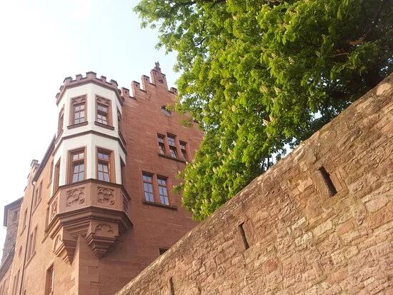 Bildungs- und Erholungswerk Burg Rieneck e. V.