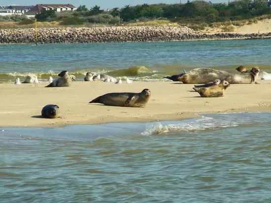 Club Nautique Berckois