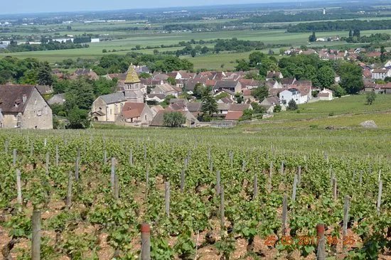 Route des Grands Crus