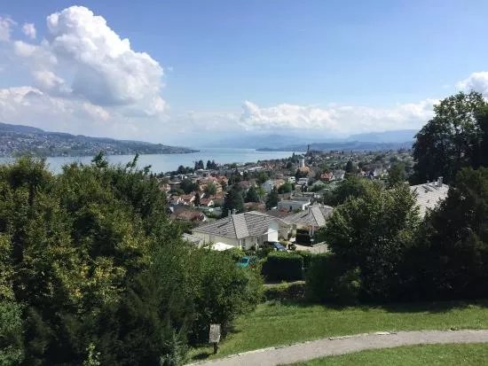 Park im Gruene