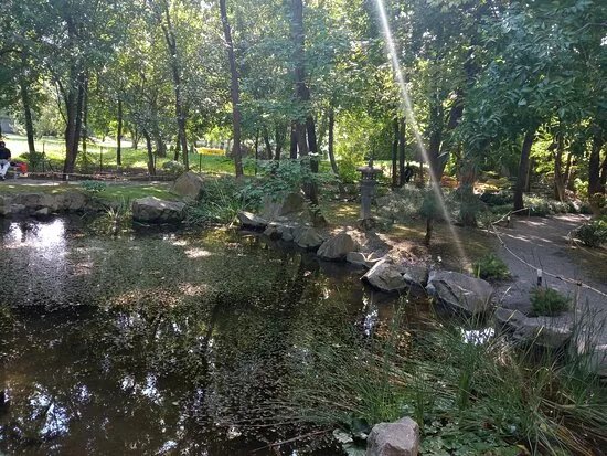 Japanese Garden