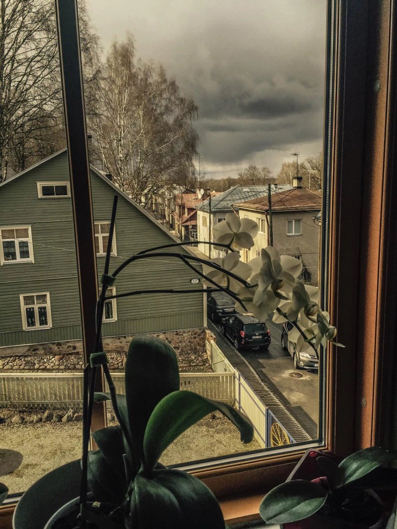 Paikesemaja Guest Apartment