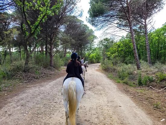 Promenade A Cheval La Comtesse