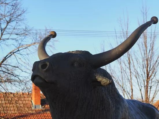 Magyar Szurkemarha Szobra