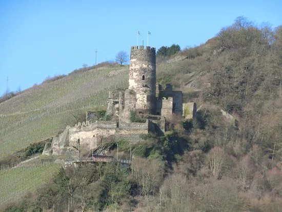 Ruins Burg Furstenberg
