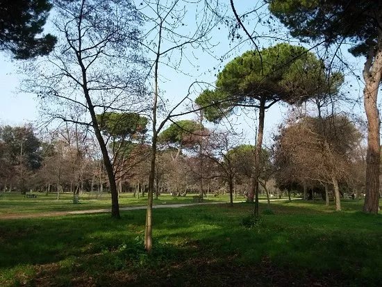Pineta di Ponente