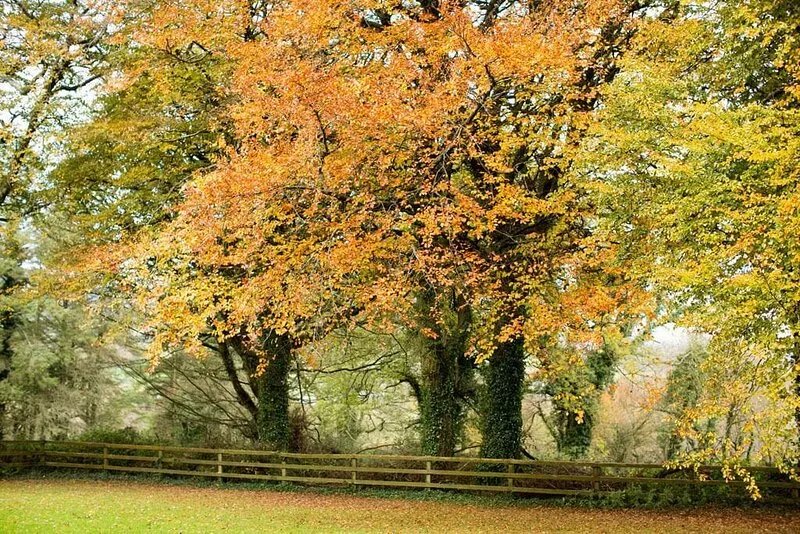 Relax in traditional farmhouse cottage perfect for touring South & West Ireland.