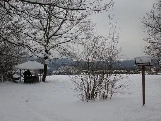 Uhlbergturm
