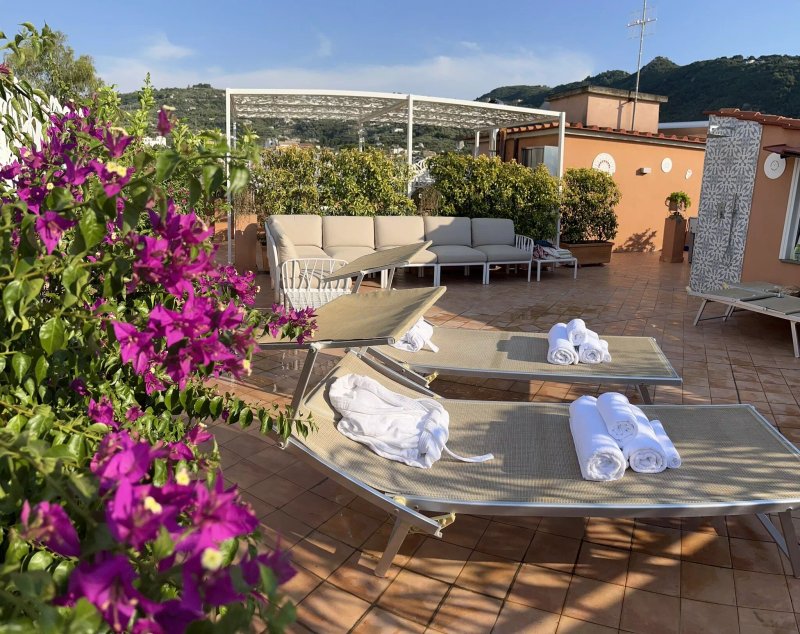 The Roof Terrace