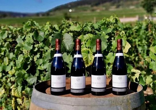 Domaine LE CLOS DES MAZIERES