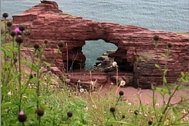 Stylish and Luxury Beach Cottage Located at the Award Winning Lunan Bay Scotland