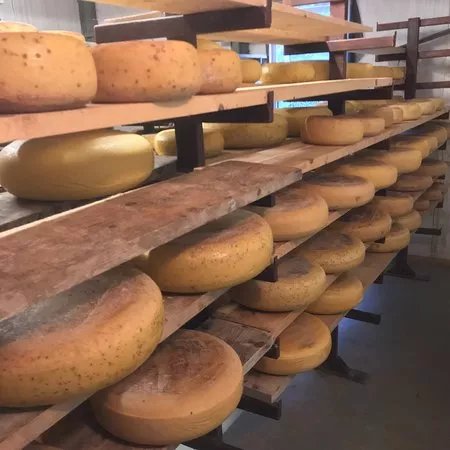 Wilma's Cheese Factory