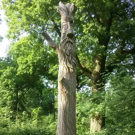 Hazel & Thoroughsale Woods