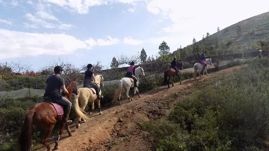 Horse Riding Tenerife
