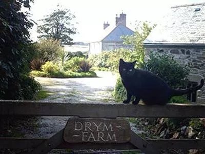 Drym Farm