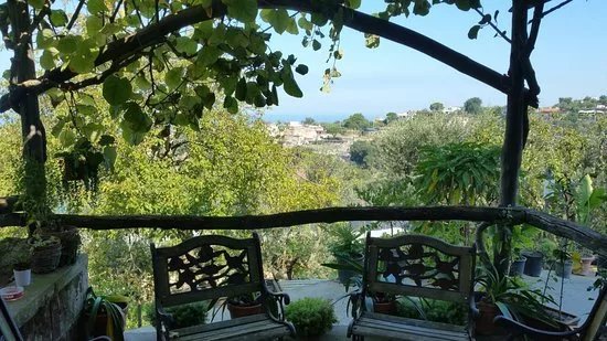 La Masseria Farm Experience