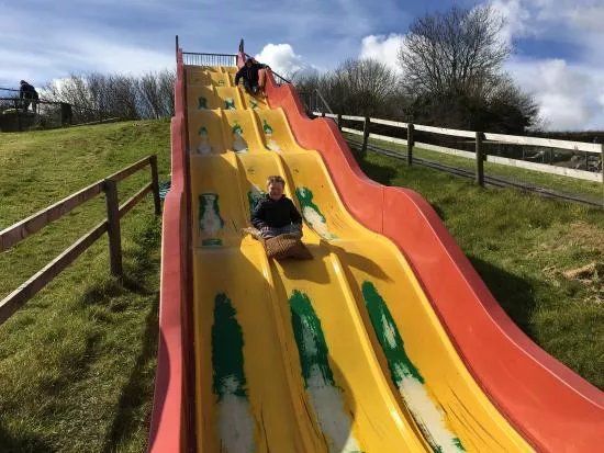 The Dinosaur Park