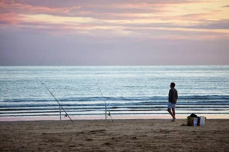 Nature and discovery for 8 people in Brem-sur-Mer