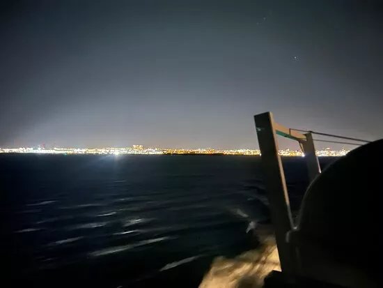 Elding Adventure At Sea - Reykjavik