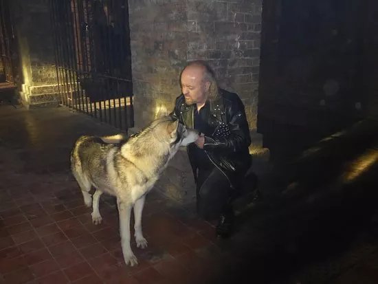 Watermill Wolves Wolf-dog Actors