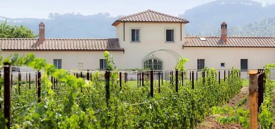 Tenuta Campo Al Signore